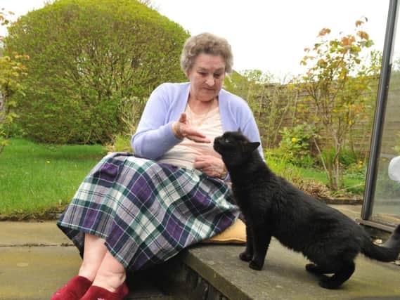 Champion fund raiser Audrey Bates with the stray cat Macho who visits her everyday.
