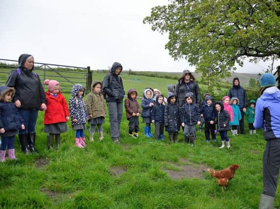 Pupils and staff from Padiham Primary School round up a hen during a farm trip outing.
