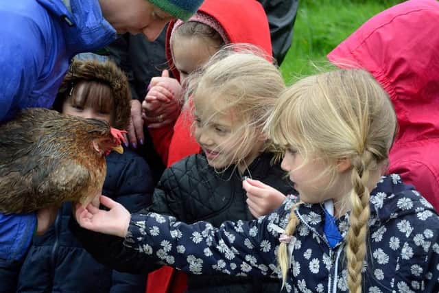 Some of the children from Padiham Primary School get close to one of the hens during a farm visit outing