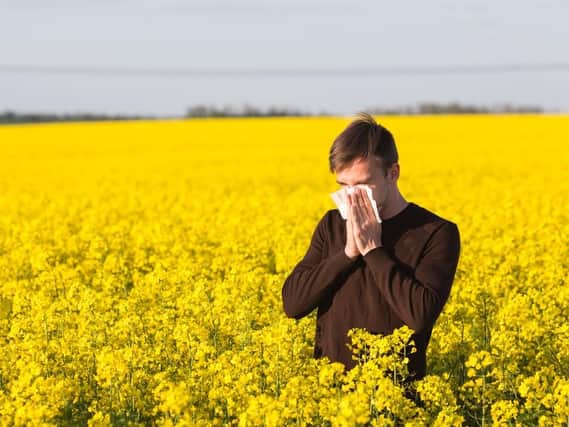 Hay fever can make life miserable for those with the condition