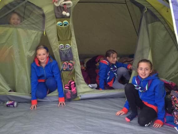 Brownies relax in the tent