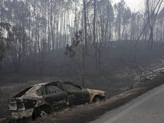 The forest fires caused untold devastation to central Portugal.