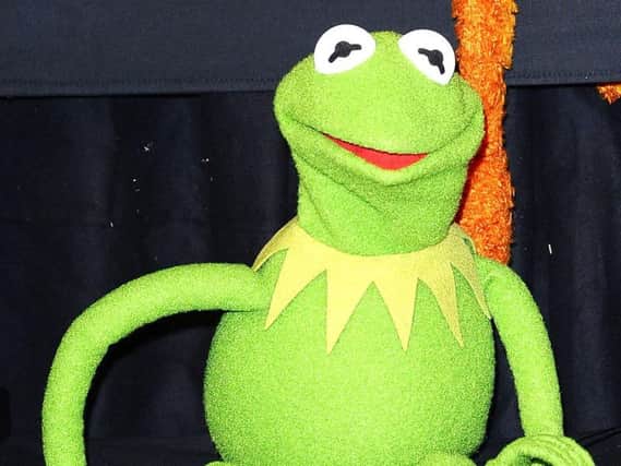 Yeeeeeeyy!!: Kermit the Frog