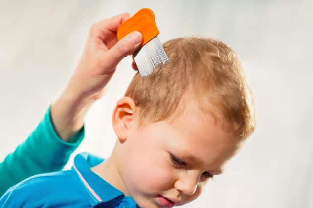 A child being checked for head lice