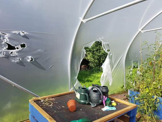 The school's polytunnel has been severely damaged.