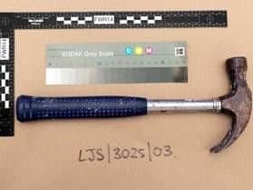 Officers have taken the unusual step in a bid to identify where the weapon may have come from. They are appealing to anyone who may have lost or had a similar item (pictured) stolen to contact them