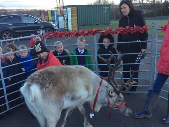 Roger the reindeer during his visit to St Mary Magdalene's RC Primary School in Burnley