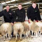 James Towler, second from right, with his Skipton prime lamb champions, joined by, from left, CCMs Andrew Fisher, William Towler, the victors nephew, and judge James Dewhurst.