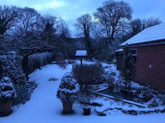 Rob Randell captured snowy scenes in Penwortham