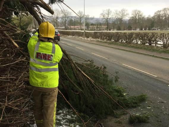 Crews cut down the tree, which was hanging onto a main road