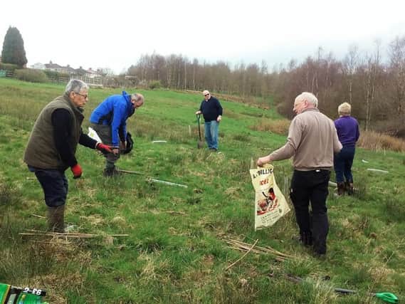 Burnley Lions hard at work planting trees in Rowley