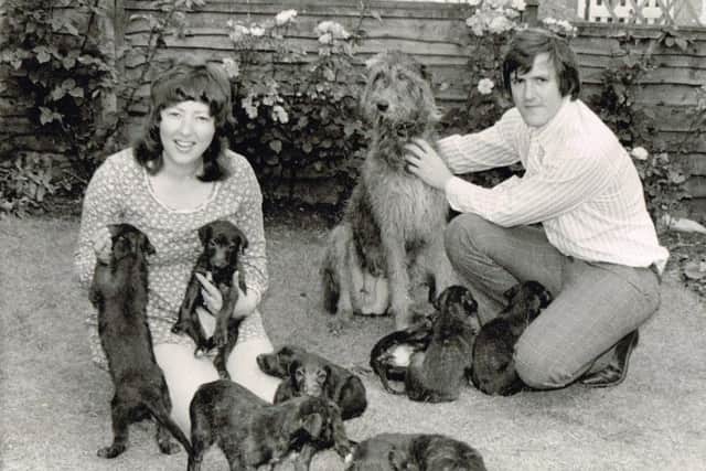 Gillian and David McKinlay with Sophie, their Scottish Deerhound and its nine puppies.