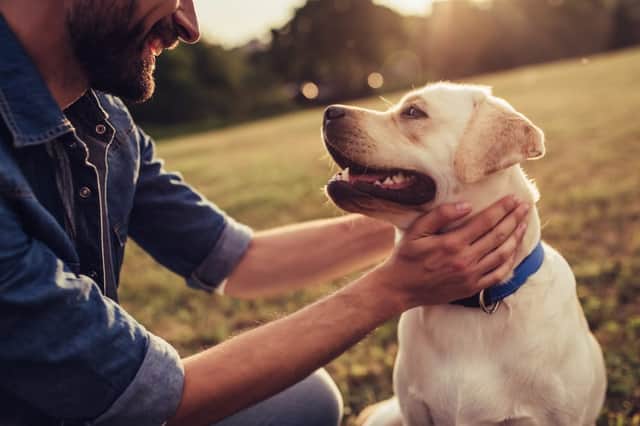 Can dogs pass on the coronavirus? (Photo: Shutterstock)